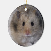 Hammie Ornament (Links)