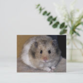 Hammie Postcard Postkarte (Stehend Vorderseite)