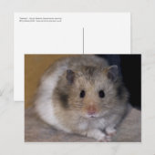 Hammie Postcard Postkarte (Vorne/Hinten)