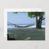 Hammock 2 postkarte (Vorne/Hinten)