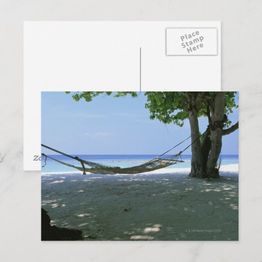 Hammock 2 postkarte (Vorne/Hinten)