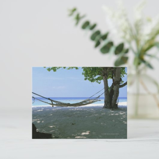 Hammock 2 postkarte (Stehend Vorderseite)