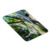 Hammock am Strand, Fidschi Magnet (Rechte Seite)