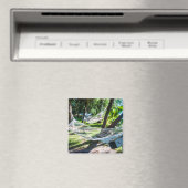 Hammock am Strand, Fidschi Magnet (In Situ (Geschirrspüler))