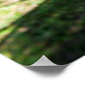 Hammock am Strand, Fidschi Poster (Ecke)