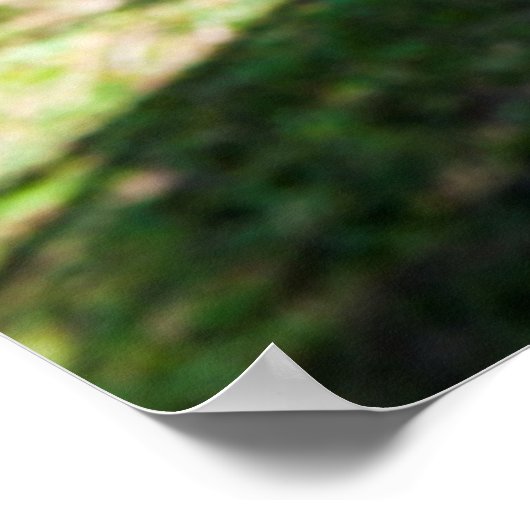 Hammock am Strand, Fidschi Poster (Ecke)