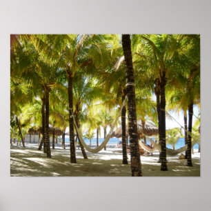 Hammock and palm trees by the ocean Poster