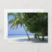Hammock und Palmenbaum Postkarte (Vorne/Hinten)