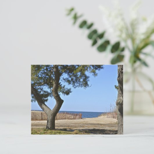 Hammonasset Beach Postcard Postkarte (Stehend Vorderseite)