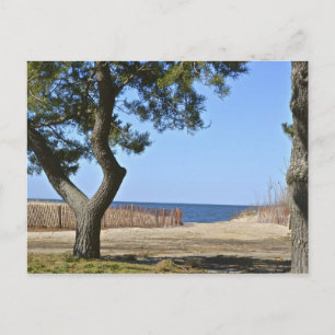 Hammonasset Beach Postcard Postkarte