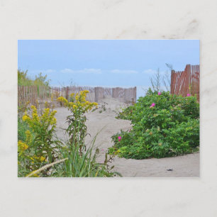 Hammonasset Beach Postcard Postkarte