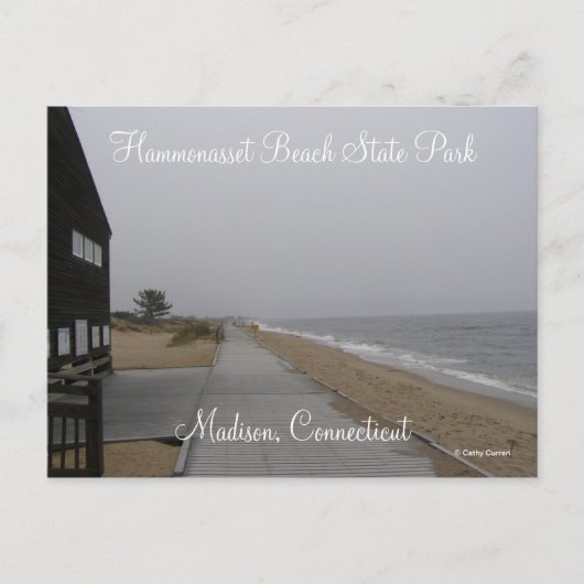 Hammonasset Beach Staat Park Postkarte (Vorderseite)