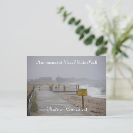 Hammonasset Beach Staat Park Postkarte (Stehend Vorderseite)