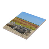 Hammonasset Beach Tile Fliese (Seite)