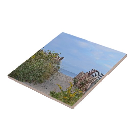 Hammonasset Beach Tile Fliese (Seite)