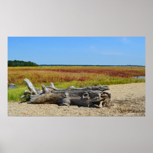 Hammonasset Driftwood Poster (Vorne)