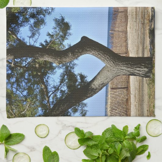 Hammonasset Küchentuch (Gefaltet)