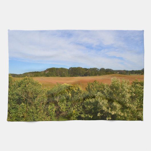 Hammonasset Marsh Dish Handtuch (Horizontal)