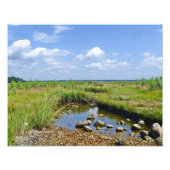 Hammonasset Marsh Foto Print (Vorne)