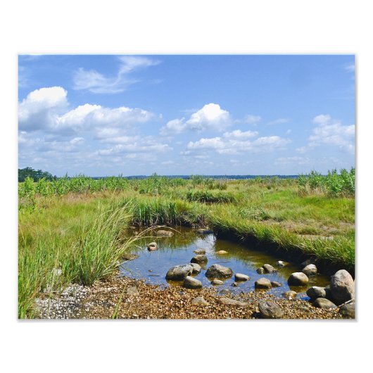 Hammonasset Marsh Foto Print (Vorne)