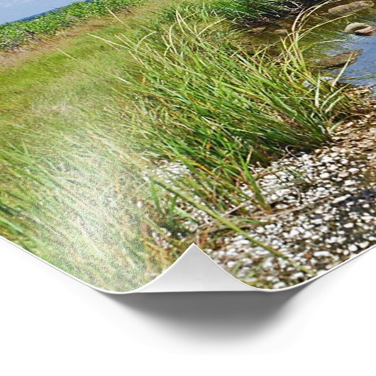 Hammonasset Marsh Foto Print (Ecke)