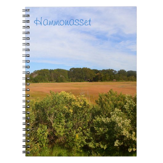 Hammonasset Marsh Notebook Notizblock (Vorderseite)