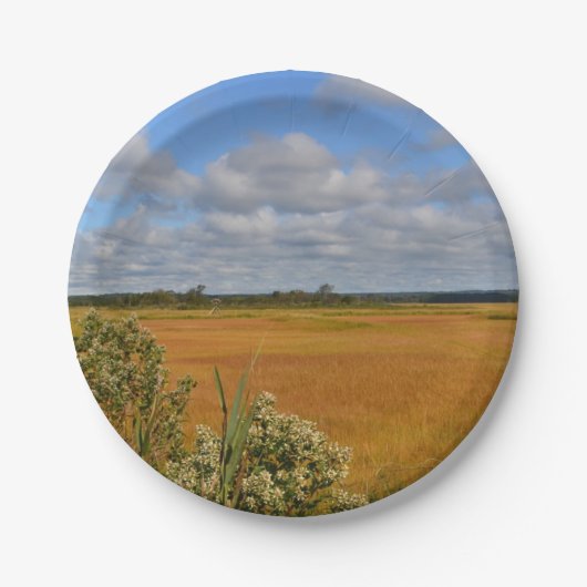 Hammonasset Marsh Paper Plate Pappteller (Vorderseite)