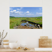 Hammonasset Marsh Poster (Küche)