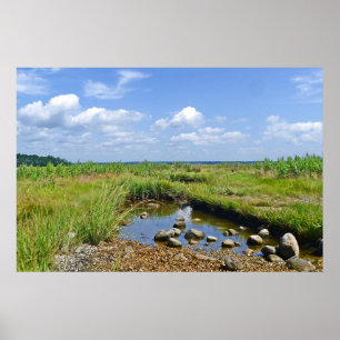 Hammonasset Marsh Poster