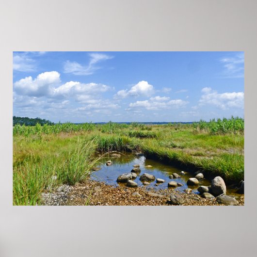 Hammonasset Marsh Poster (Vorne)
