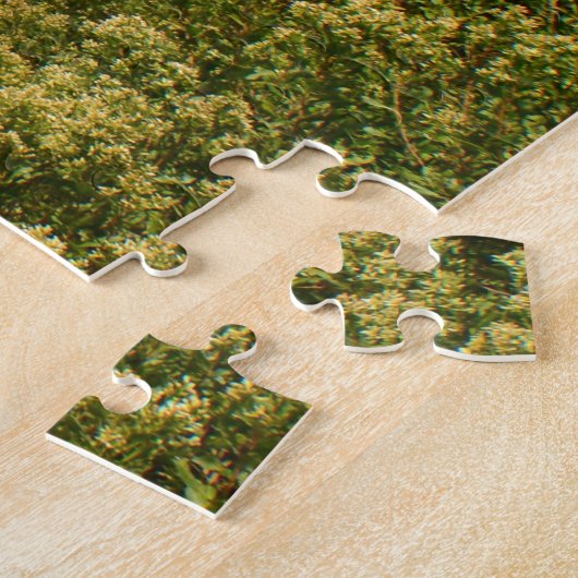 Hammonasset Marsh Puzzle (Seite)