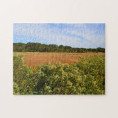 Hammonasset Marsh Puzzle (Horizontal)