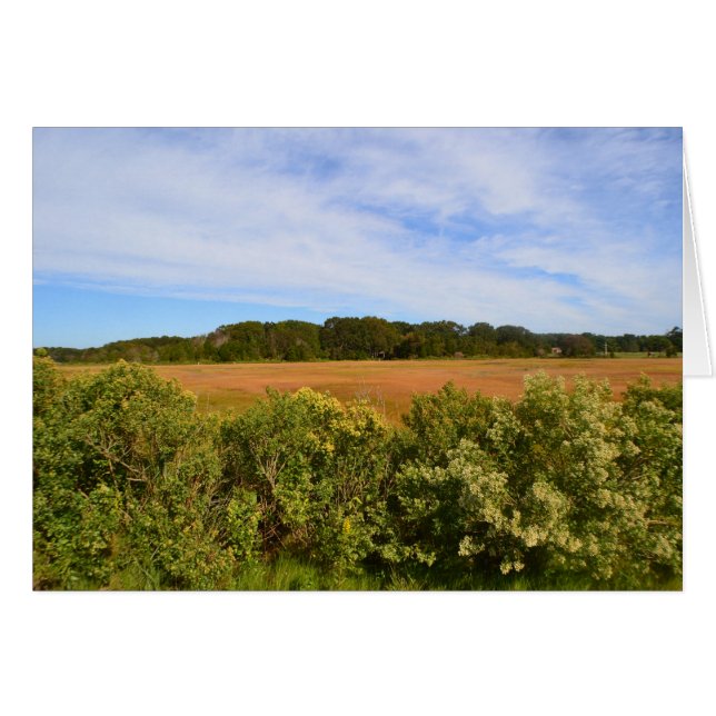 Hammonasset Notecard (Vorderseite (Horizontal))