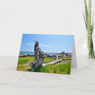 Hammonasset Notecard Karte