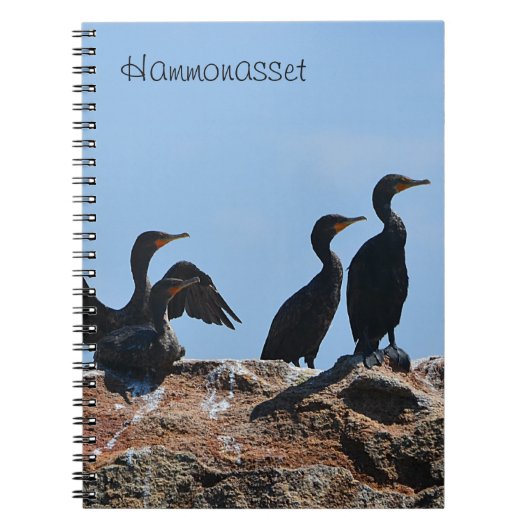 Hammonasset Notizblock (Vorderseite)