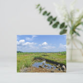 Hammonasset Postcard Postkarte (Stehend Vorderseite)