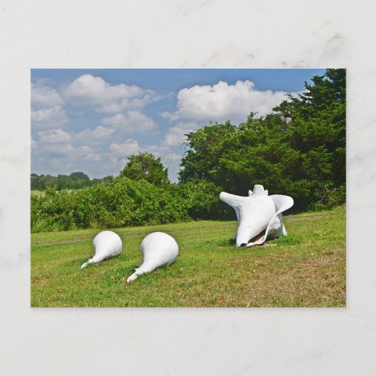 Hammonasset Postcard Postkarte (Vorderseite)