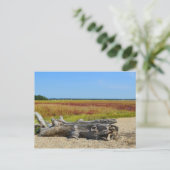 Hammonasset Postcard Postkarte (Stehend Vorderseite)