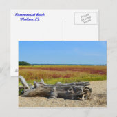 Hammonasset Postcard Postkarte (Vorne/Hinten)