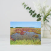 Hammonasset Postcard Postkarte (Stehend Vorderseite)