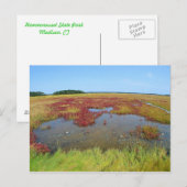 Hammonasset Postcard Postkarte (Vorne/Hinten)