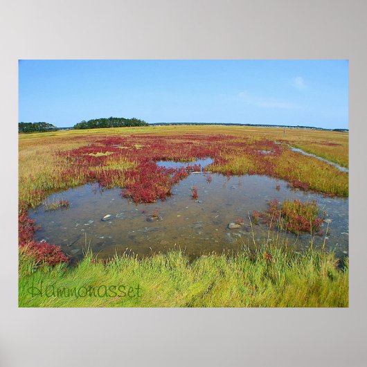 Hammonasset Poster (Vorne)