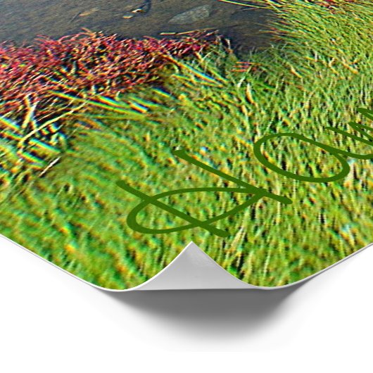 Hammonasset Poster (Ecke)