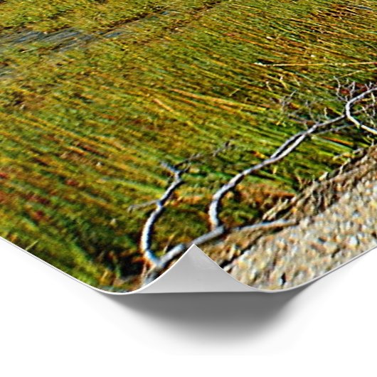 Hammonasset Poster (Ecke)