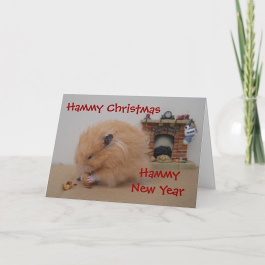 Hammy Weihnachten (Vorderseite)