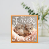 Hammyville - Hamster Best Friends Forever (Stehend Vorderseite)