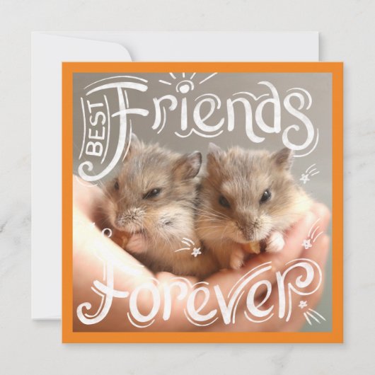 Hammyville - Hamster Best Friends Forever (Vorderseite)