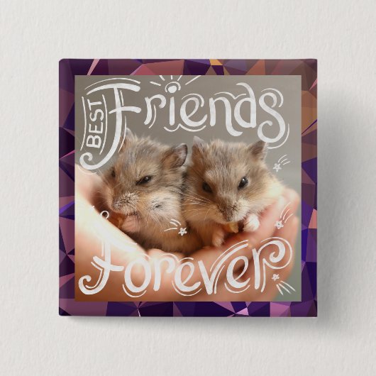 Hammyville - Hamster Best Friends Forever Button (Vorderseite)