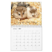 Hammyville - hell und mit Blumen Kalender (Jan 2027)