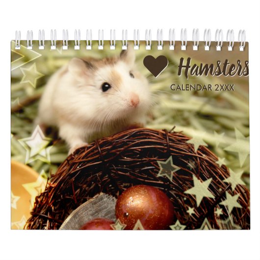 Hammyville - Licht-Sterne Kalender (Titelbild)
